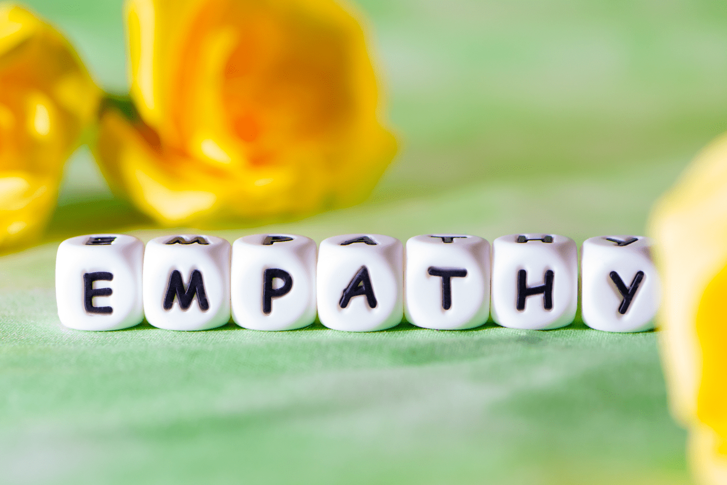 What is Empathy? - Welbee Toolkit